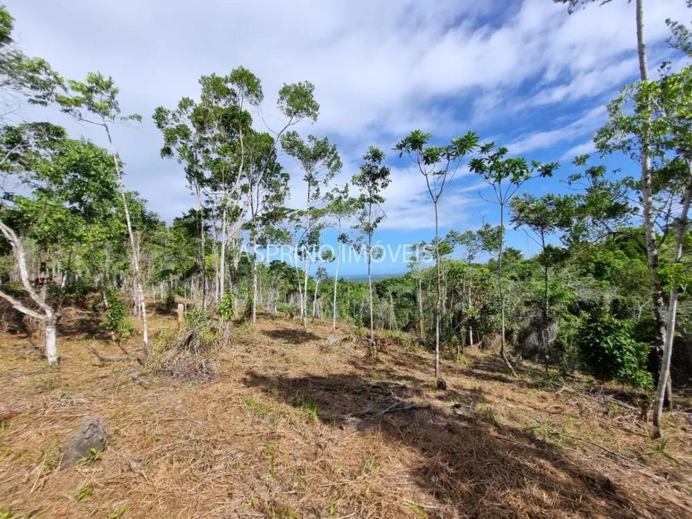 Terreno, 8 hectares - Foto 12