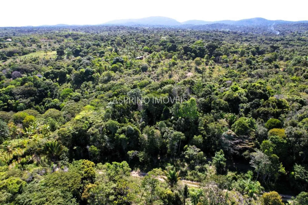 Terreno, 8 hectares - Foto 10