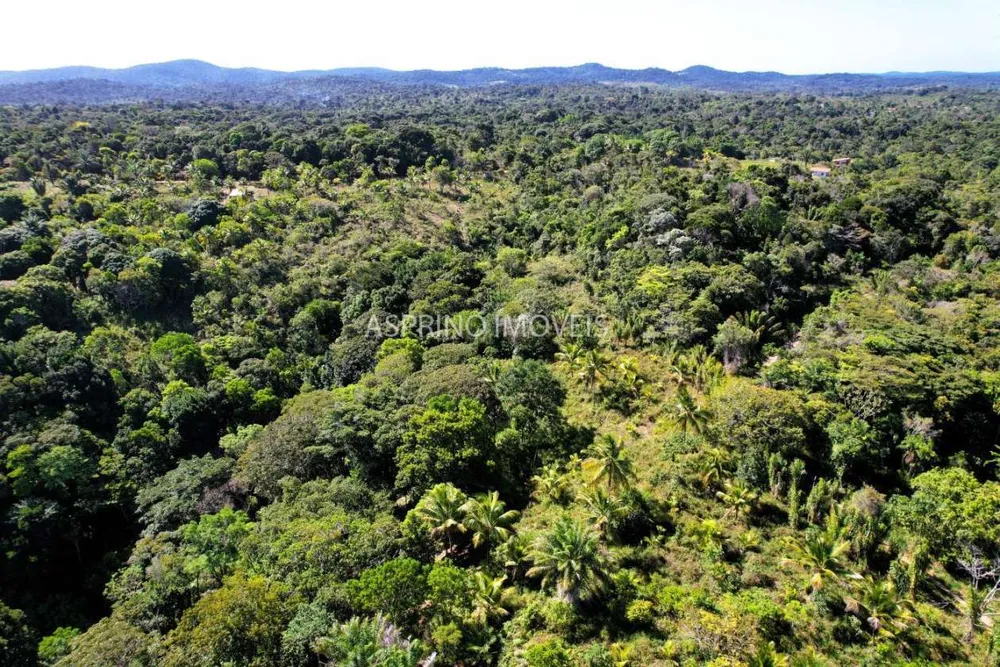 Terreno, 8 hectares - Foto 9