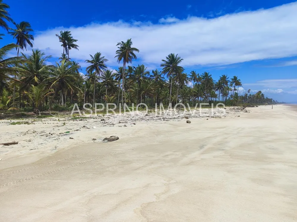 Terreno, 14 hectares - Foto 6