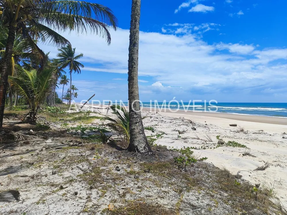 Terreno, 14 hectares - Foto 7