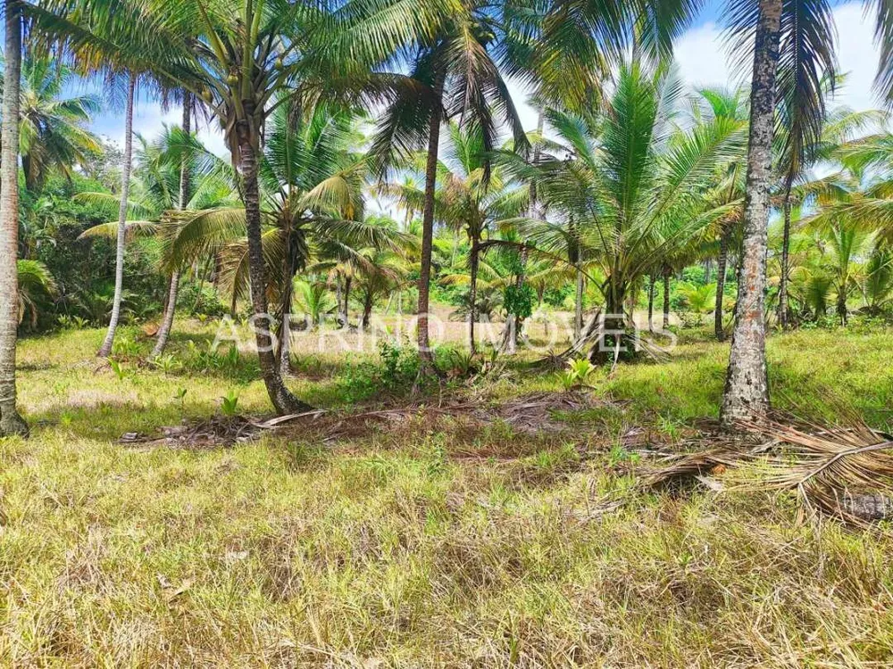 Terreno, 14 hectares - Foto 12