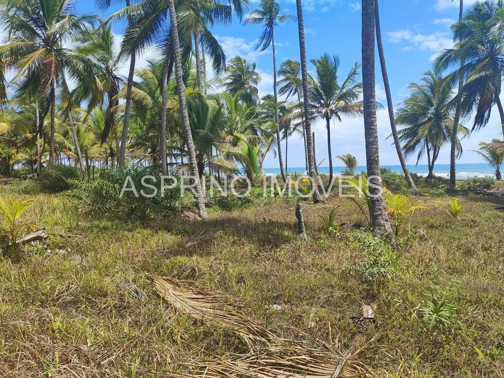 Terreno, 14 hectares - Foto 10