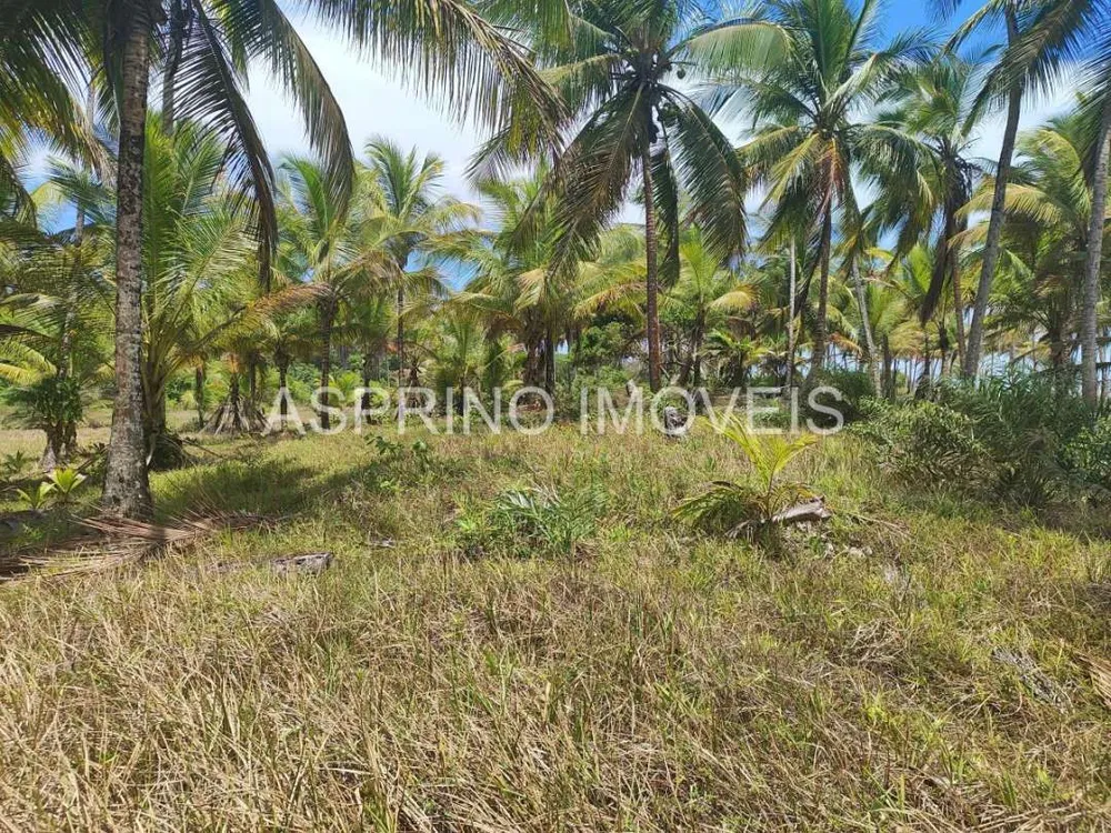 Terreno, 14 hectares - Foto 9