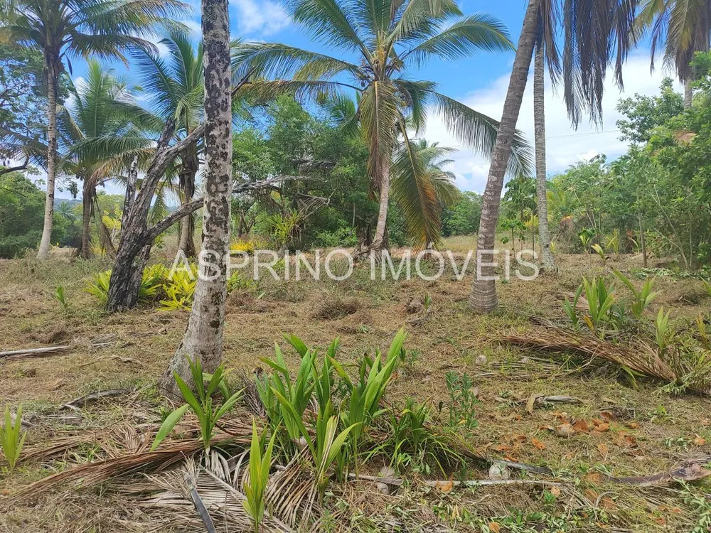 Terreno, 14 hectares - Foto 11