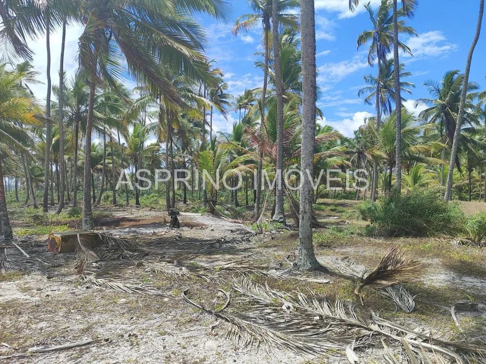 Terreno, 14 hectares - Foto 8