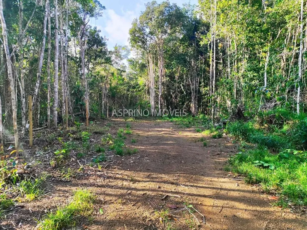 Terreno, 3 hectares - Foto 7