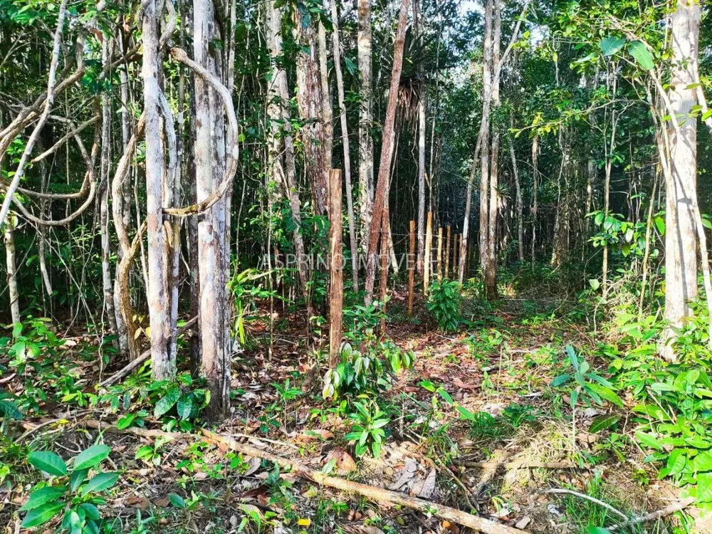Terreno, 3 hectares - Foto 9