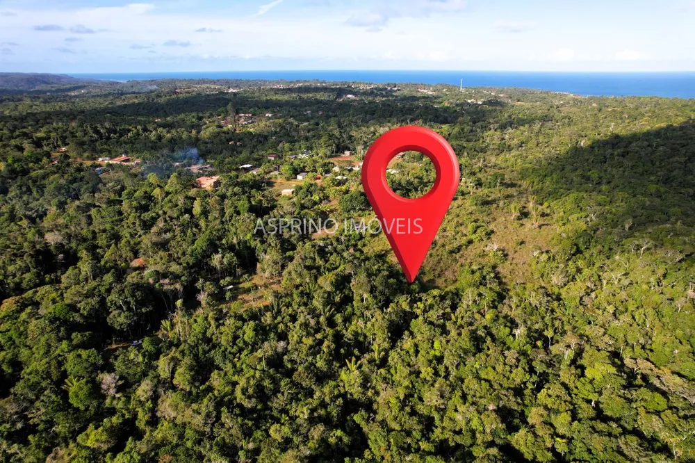 Terreno, 3 hectares - Foto 4
