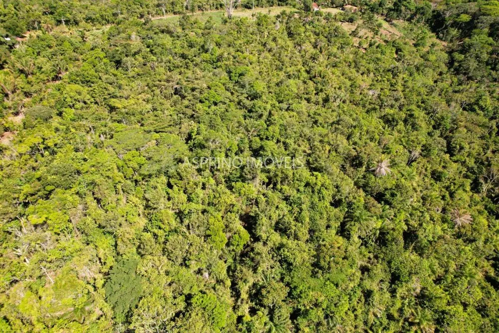 Terreno, 9 hectares - Foto 4