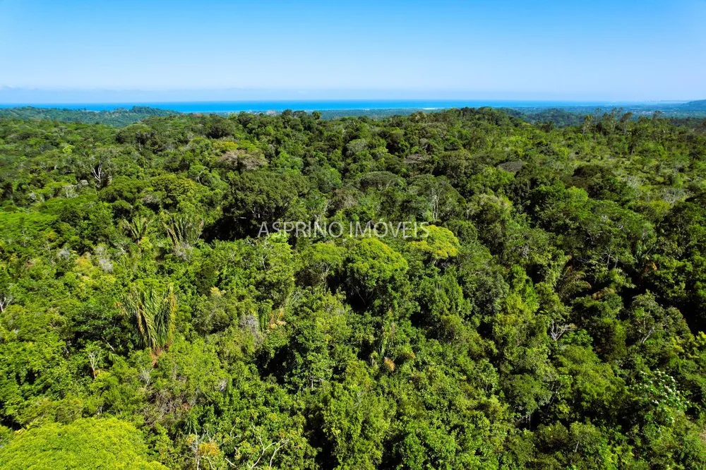 Terreno, 9 hectares - Foto 6