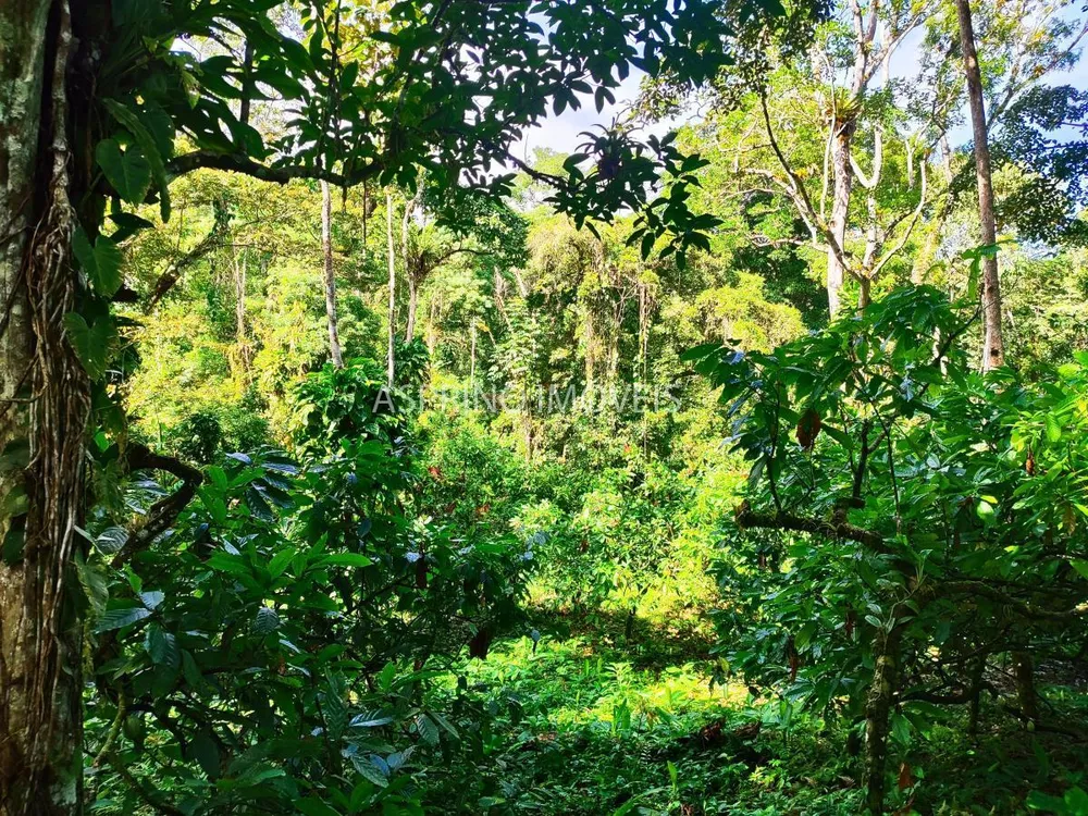 Fazenda, 59 hectares - Foto 1