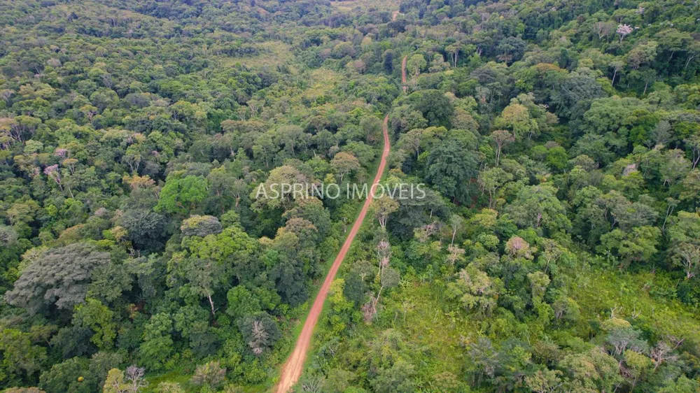Fazenda, 59 hectares - Foto 6