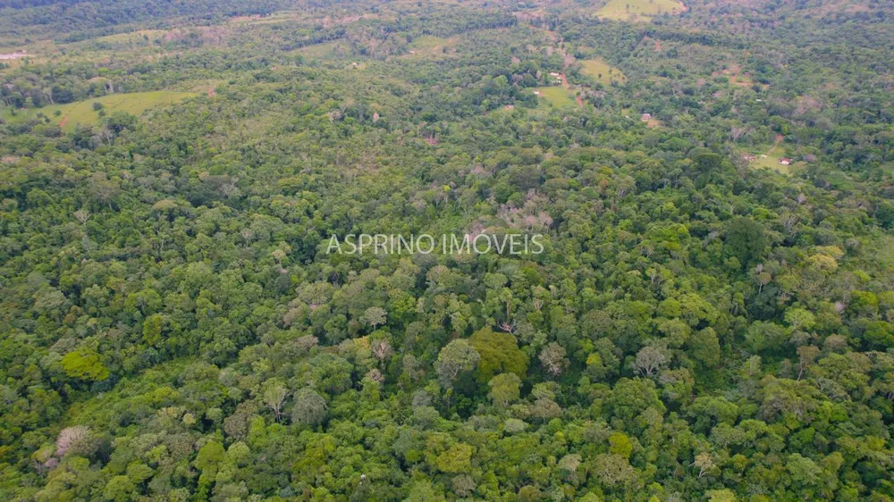 Fazenda, 59 hectares - Foto 8