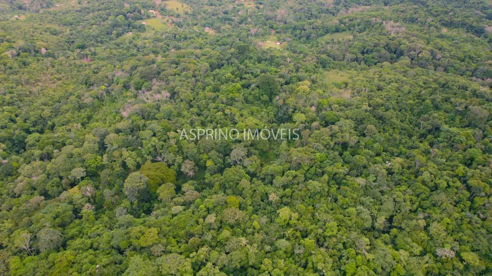 Fazenda, 59 hectares - Foto 7