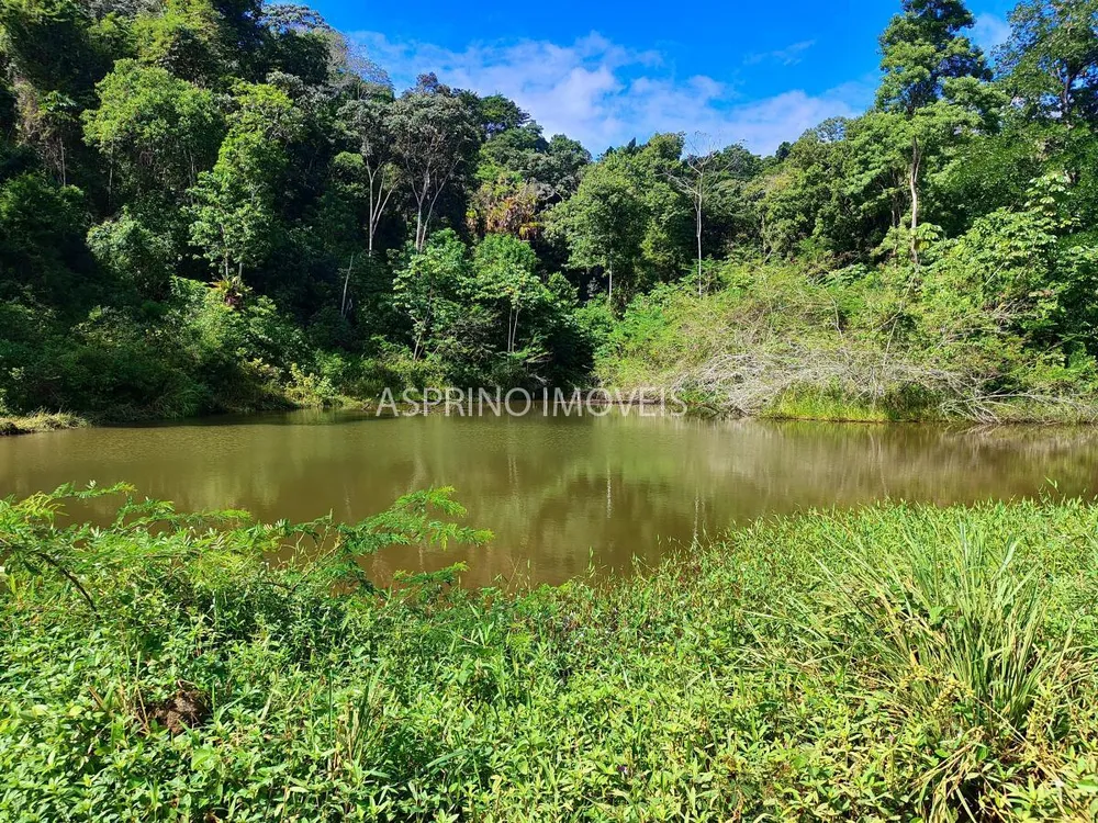 Fazenda, 59 hectares - Foto 3