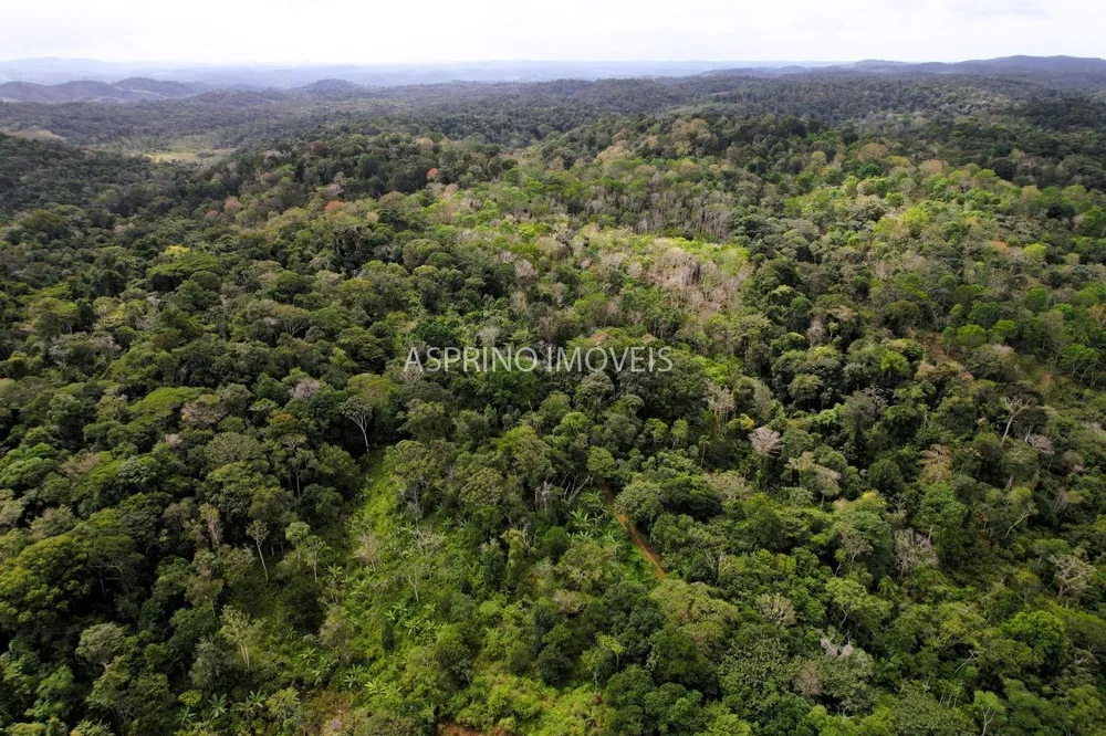 Fazenda, 21 hectares - Foto 12