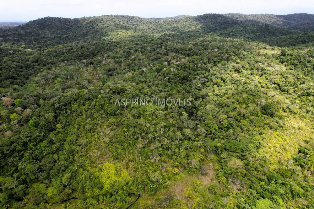 Fazenda, 21 hectares - Foto 11