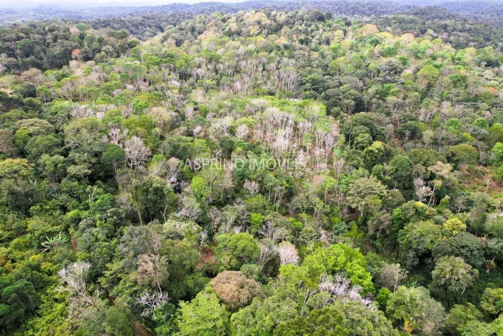 Fazenda, 21 hectares - Foto 10