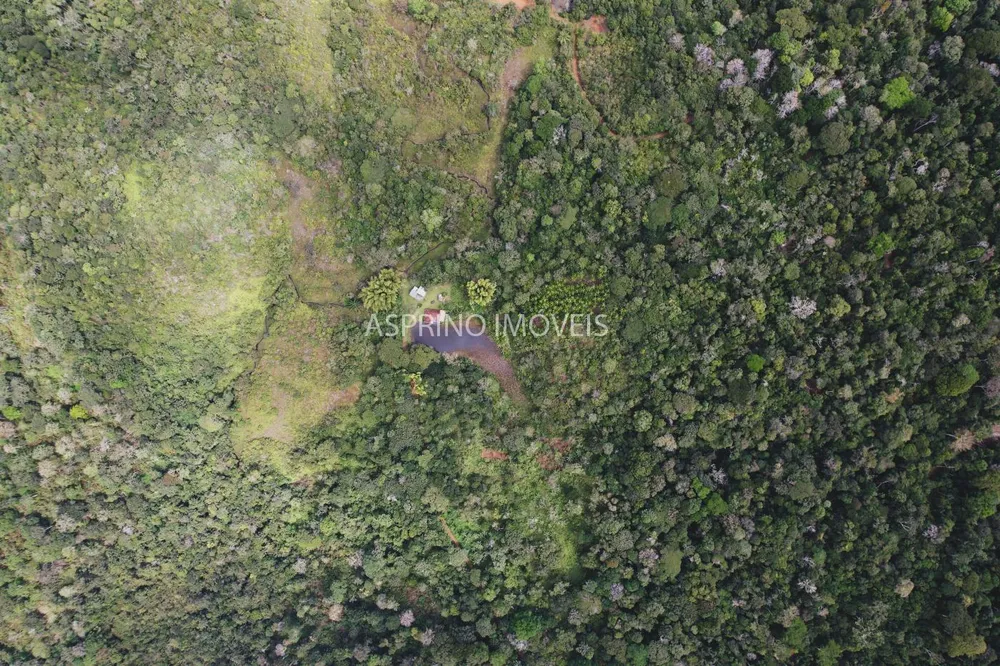 Fazenda, 21 hectares - Foto 6