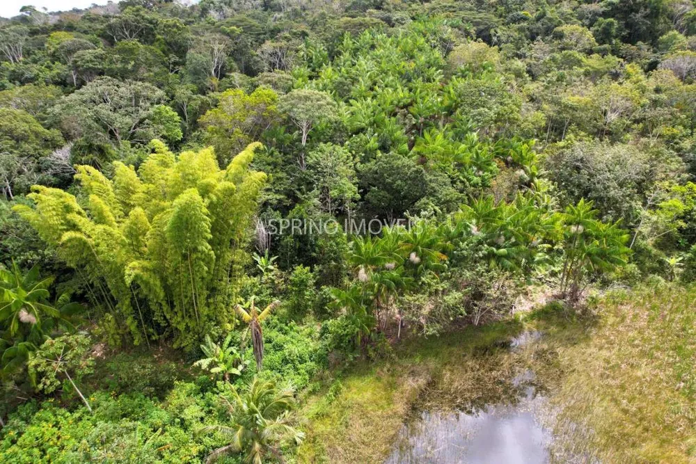 Fazenda, 21 hectares - Foto 7