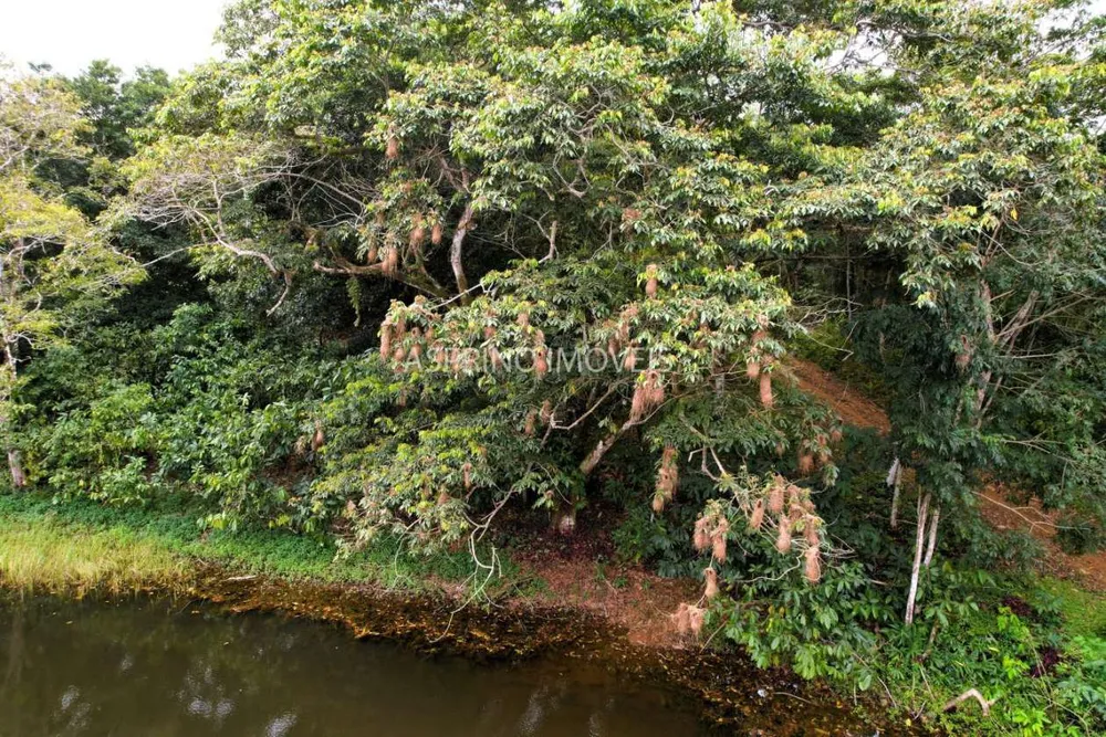Fazenda, 21 hectares - Foto 8
