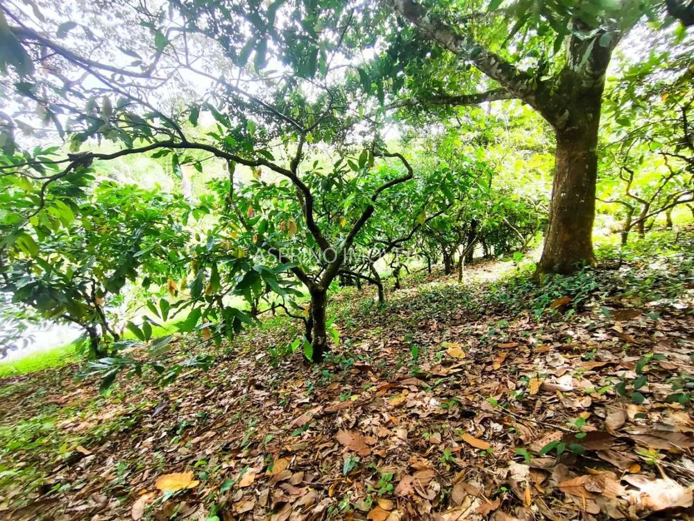 Fazenda, 21 hectares - Foto 9