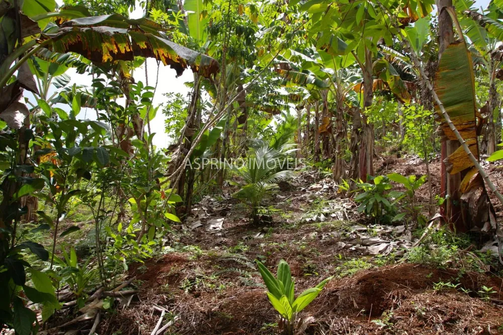 Fazenda, 21 hectares - Foto 4