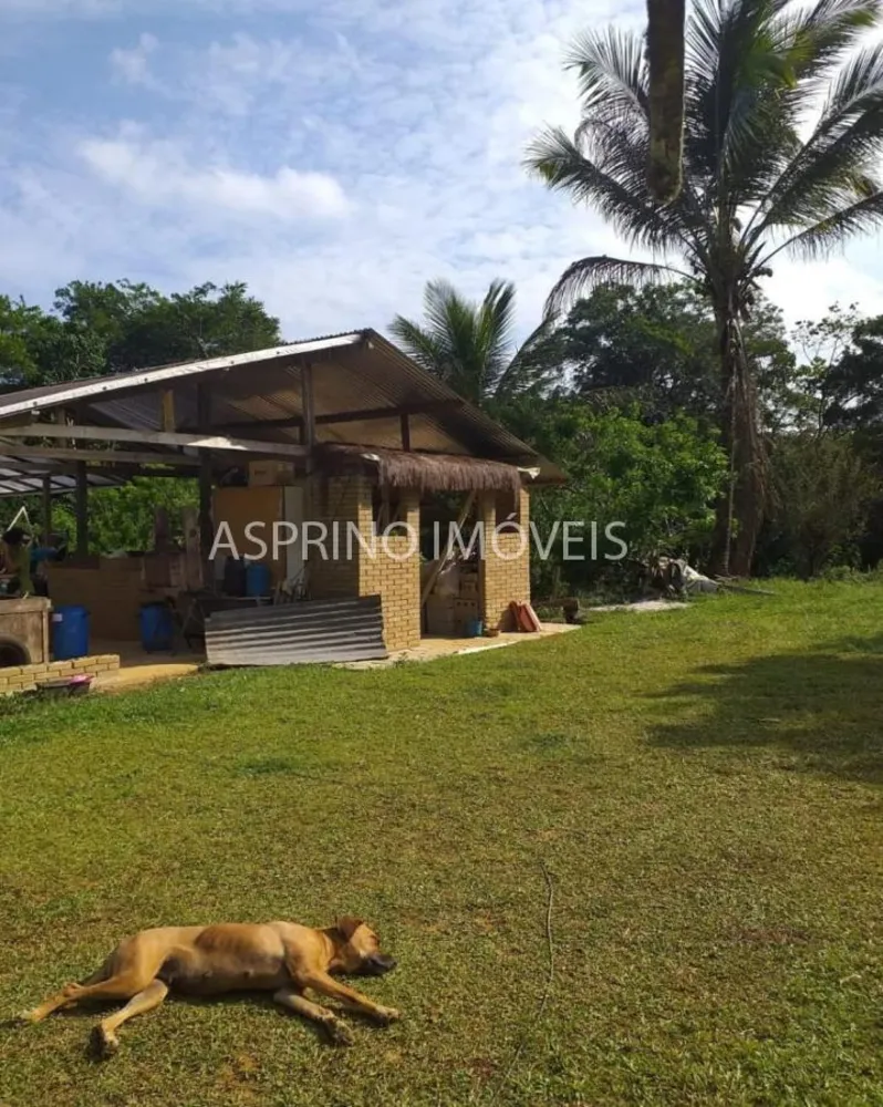 Fazenda, 21 hectares - Foto 3