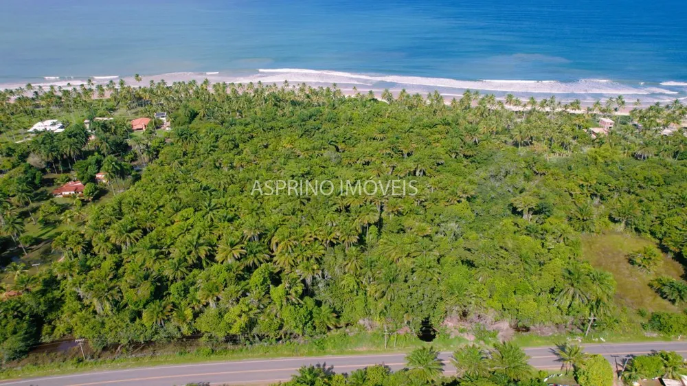 Terreno, 3 hectares - Foto 4
