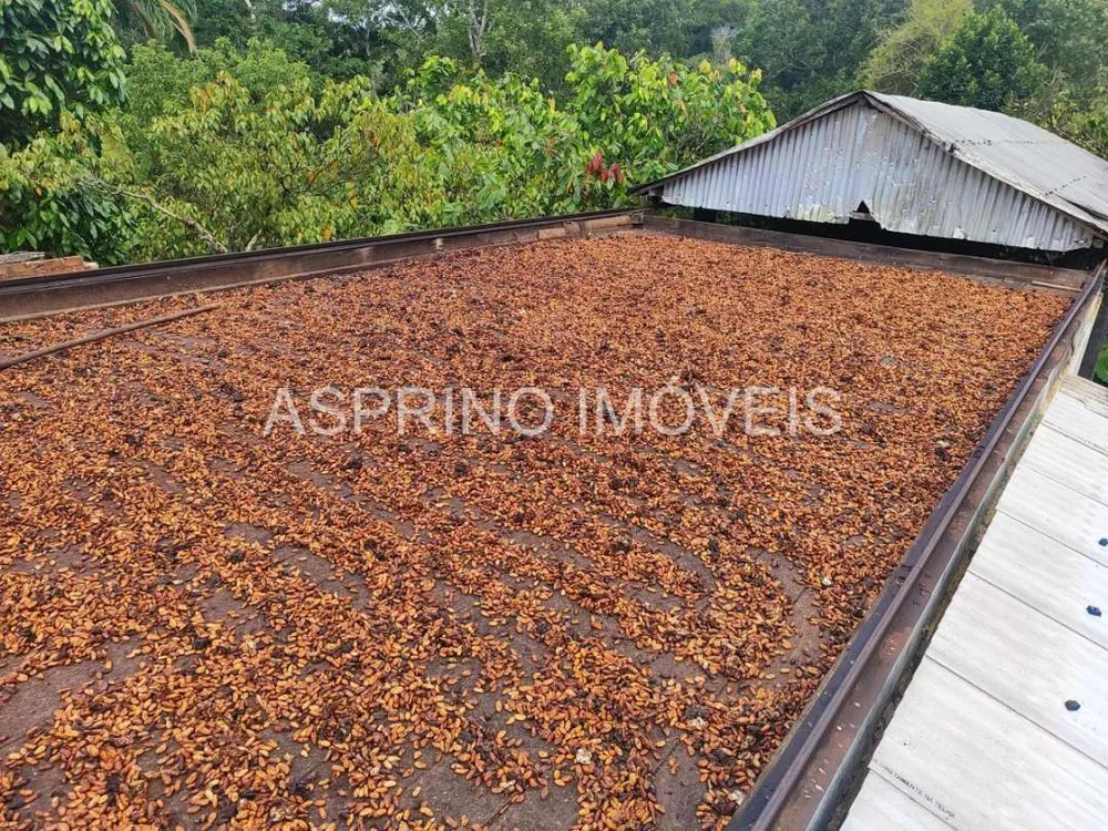 Fazenda, 25 hectares - Foto 3