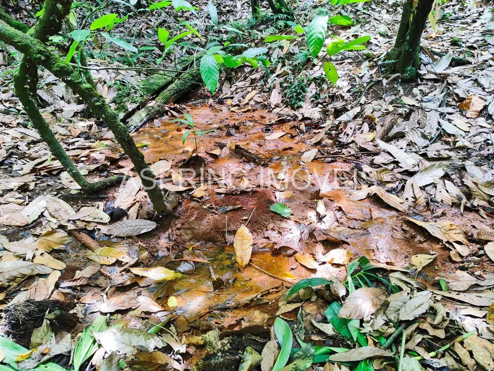 Fazenda, 25 hectares - Foto 11