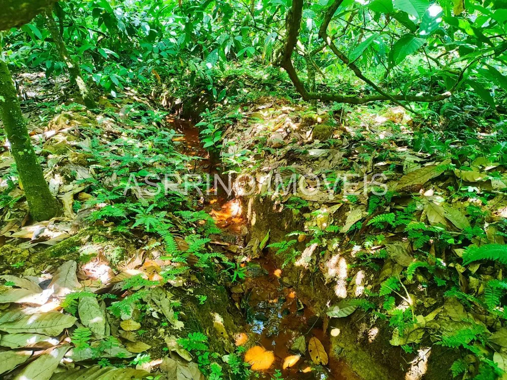 Fazenda, 25 hectares - Foto 6