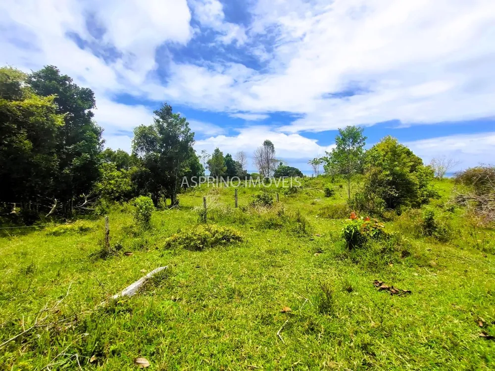 Fazenda, 32 hectares - Foto 12