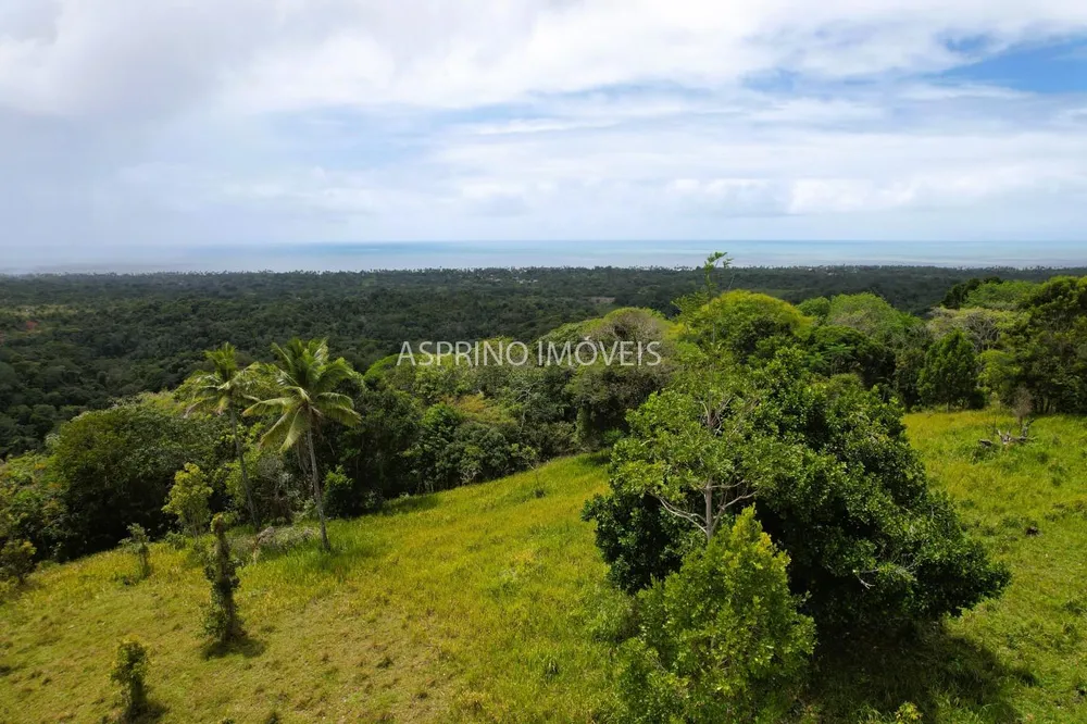 Fazenda, 32 hectares - Foto 4