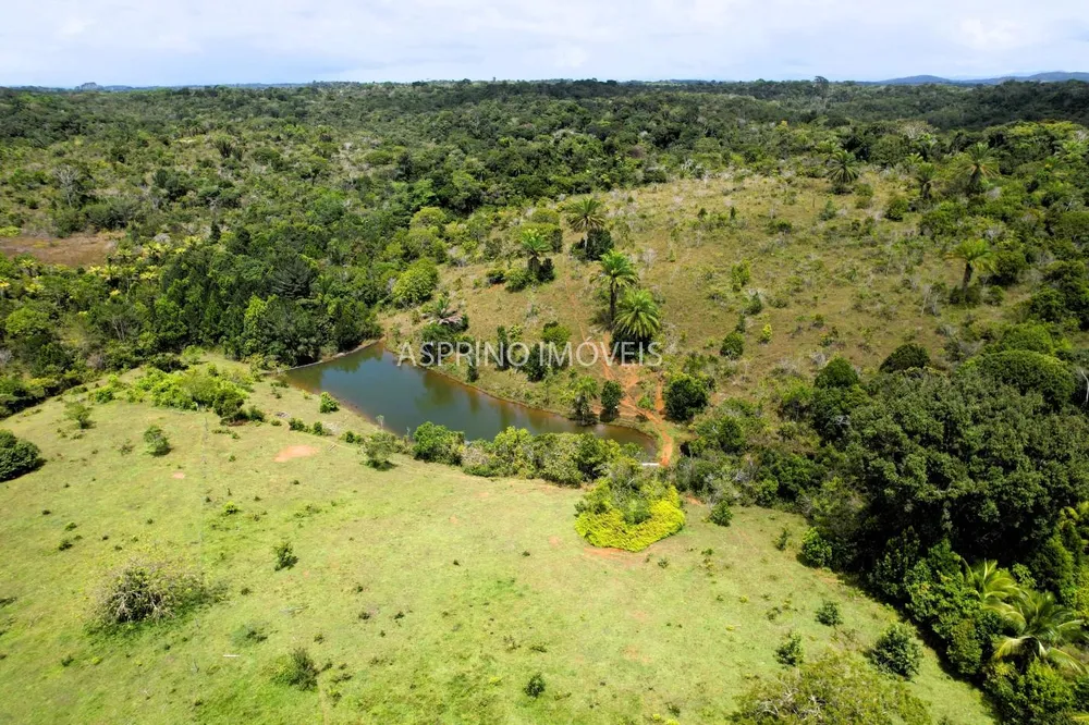 Fazenda, 32 hectares - Foto 5