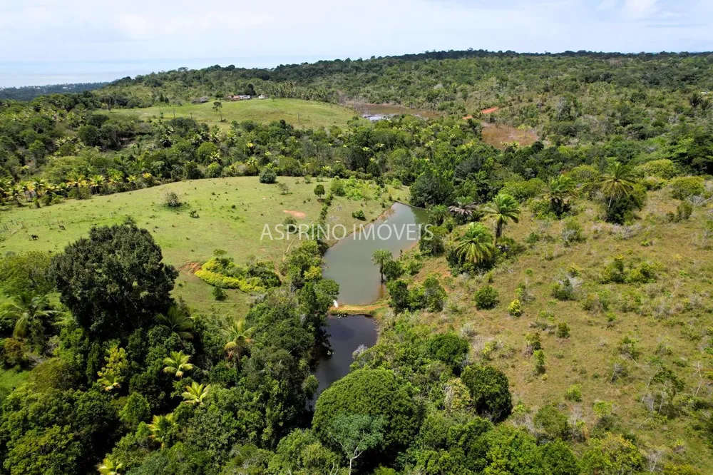 Fazenda, 32 hectares - Foto 9