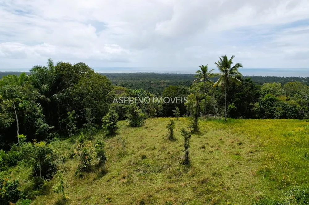 Fazenda, 32 hectares - Foto 2