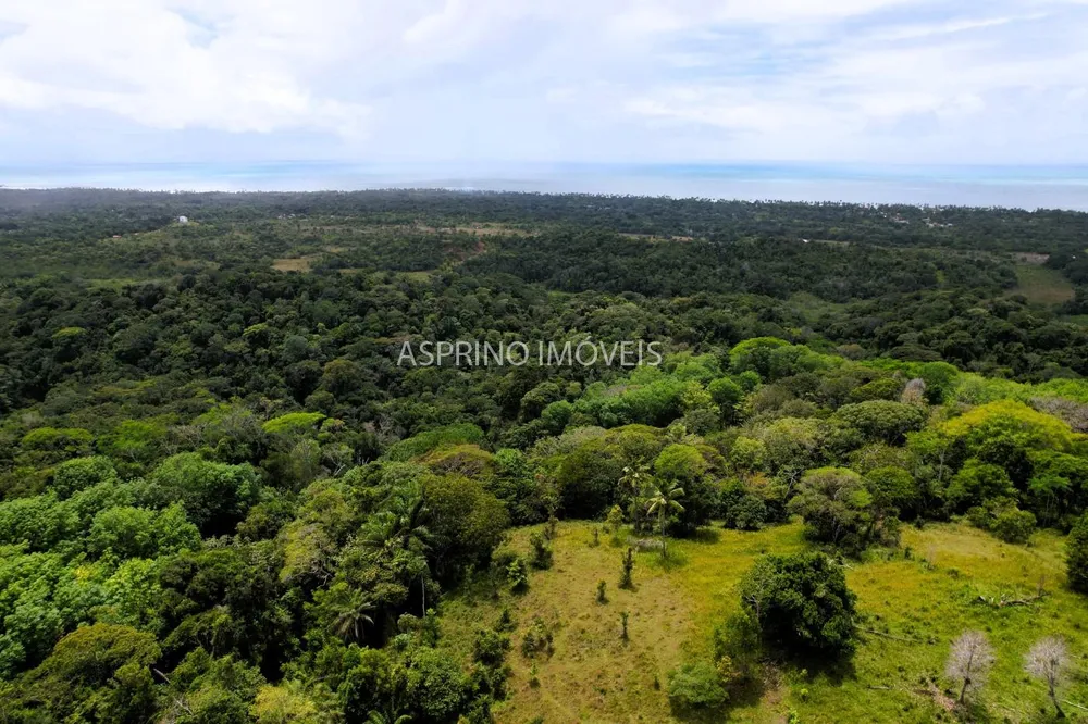 Fazenda, 32 hectares - Foto 3