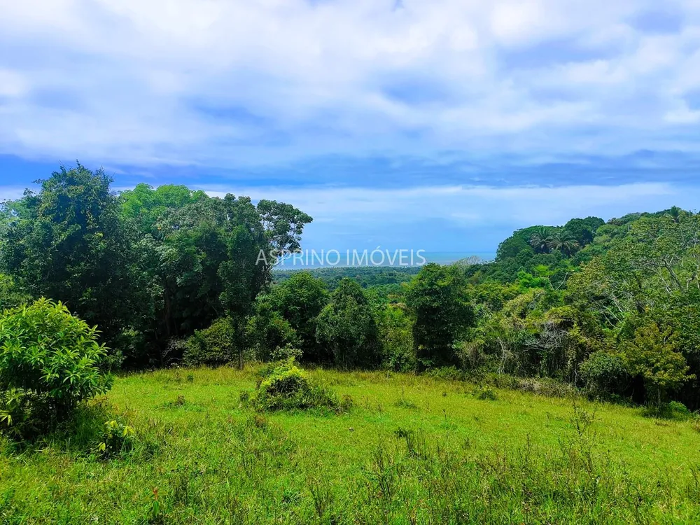 Fazenda, 32 hectares - Foto 1