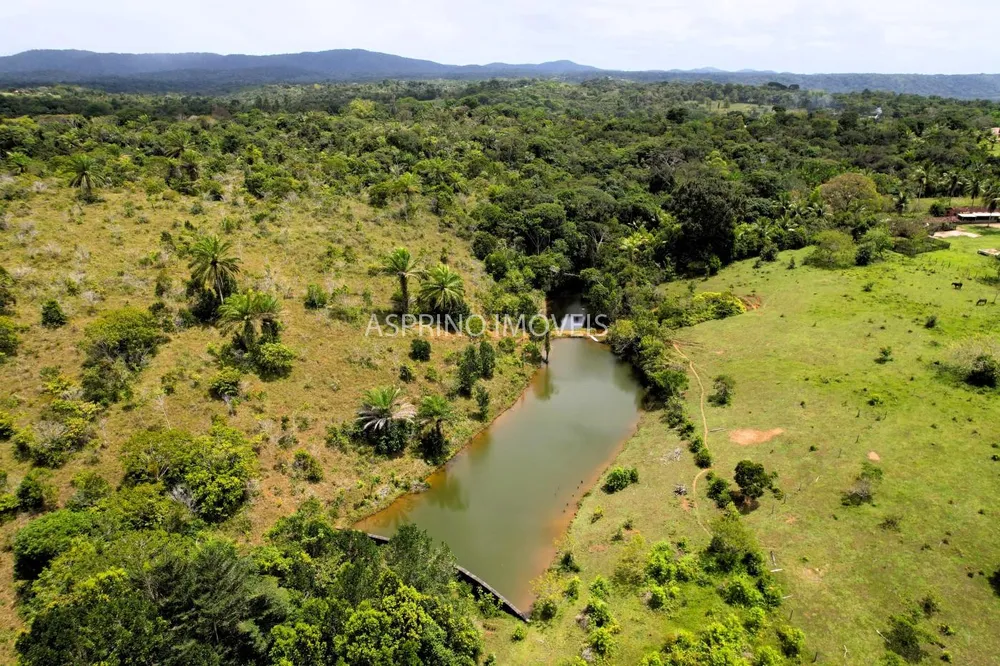 Fazenda, 32 hectares - Foto 8