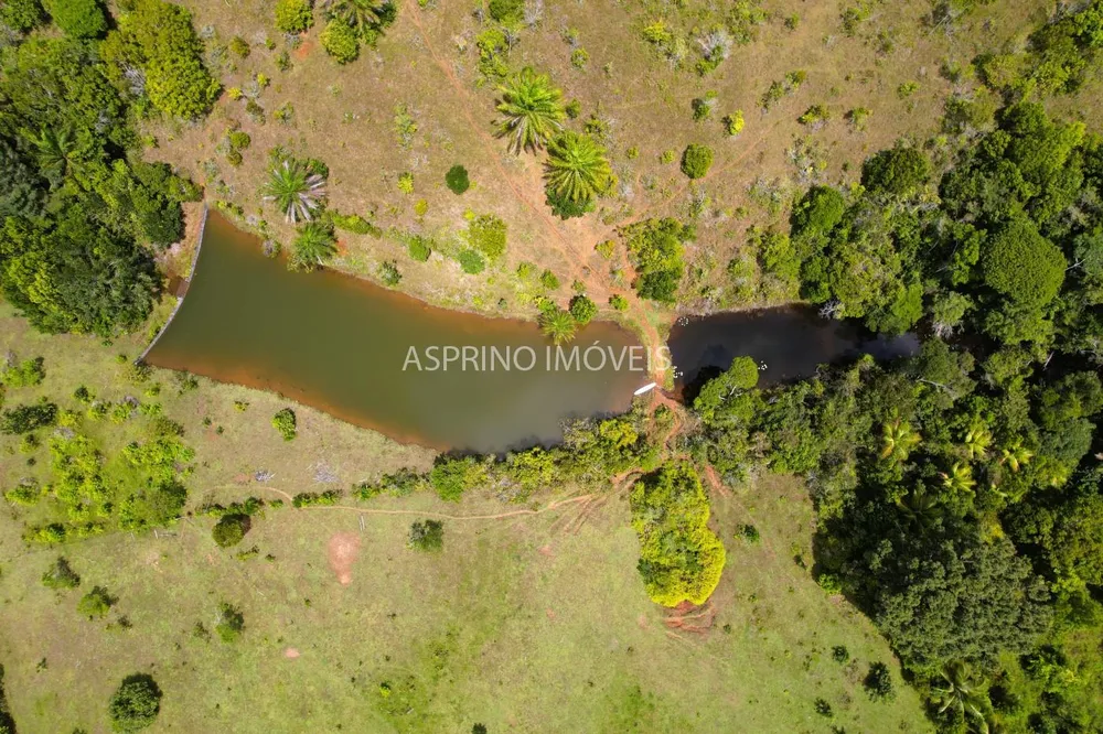 Fazenda, 32 hectares - Foto 6