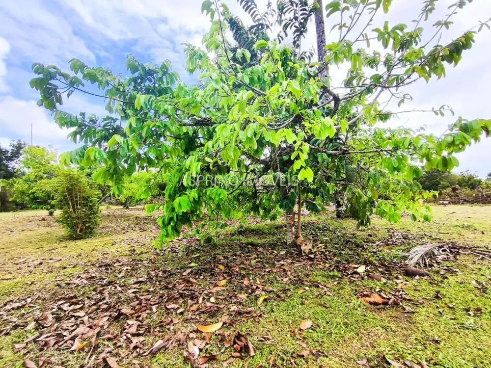 Fazenda, 32 hectares - Foto 11