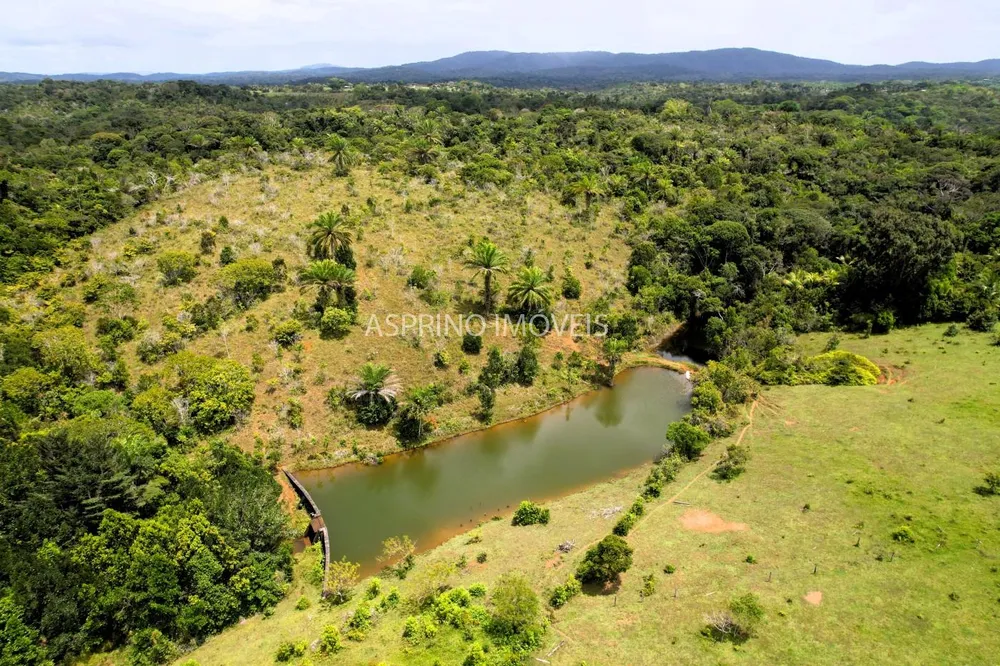 Fazenda, 32 hectares - Foto 7