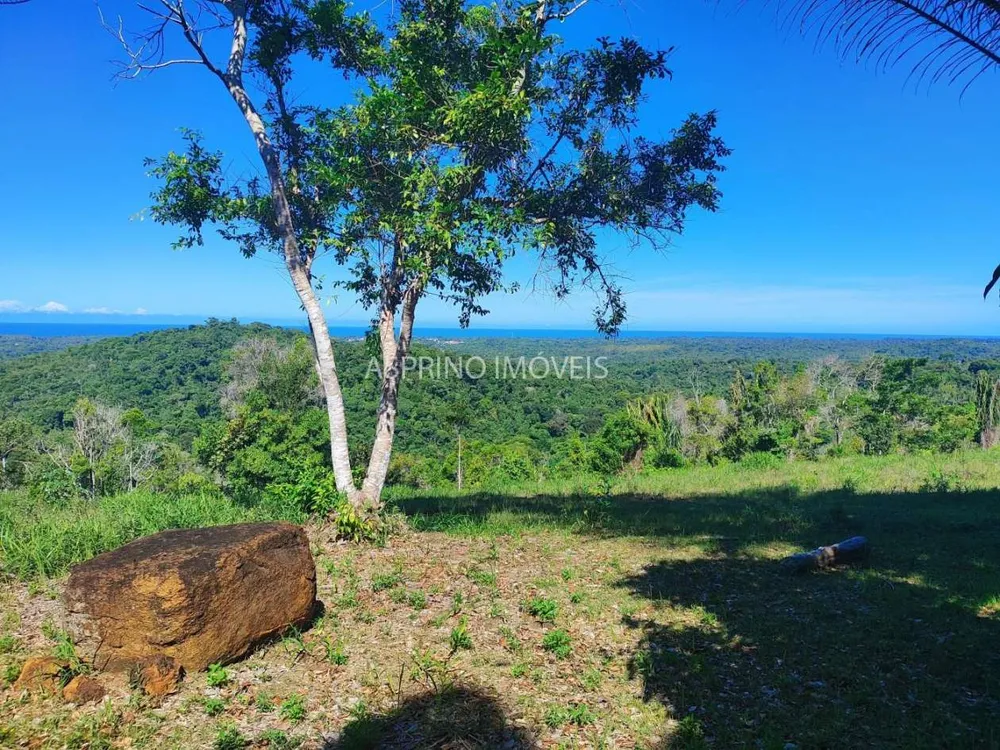 Sítio, 35 hectares - Foto 4