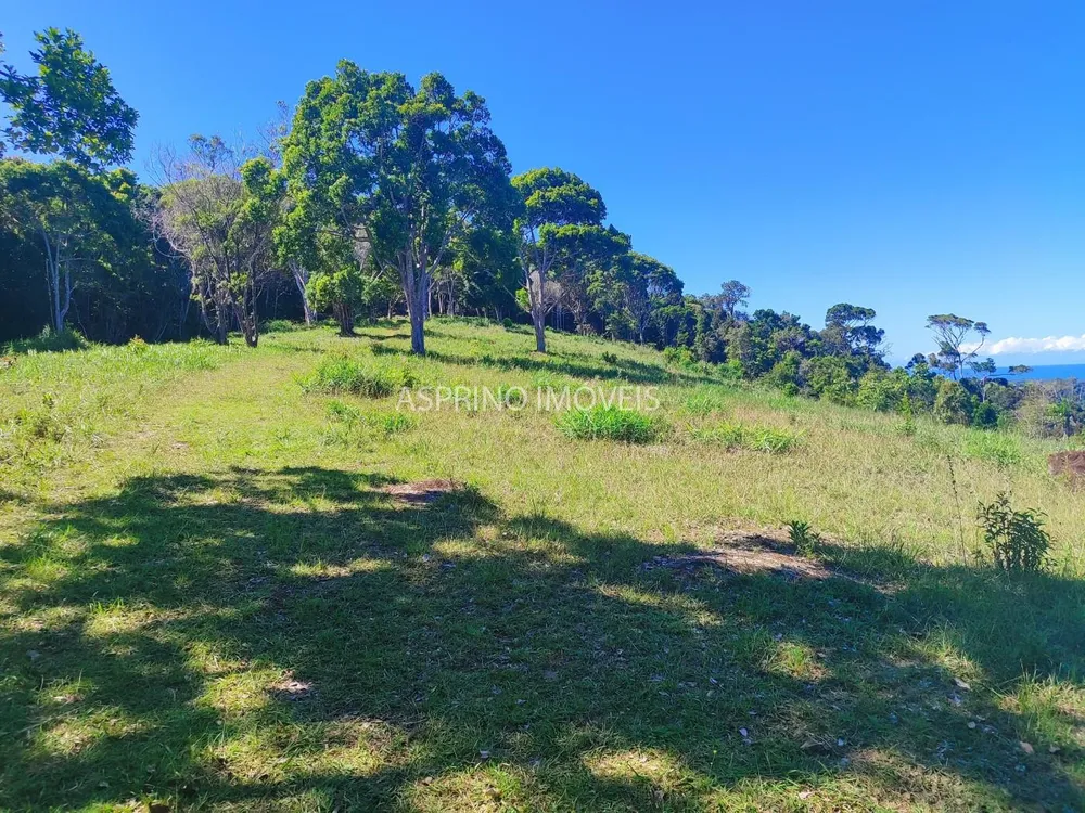 Sítio, 35 hectares - Foto 1