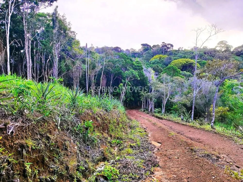 Sítio, 35 hectares - Foto 12