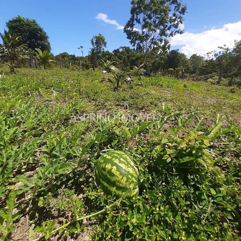 Sítio, 3 quartos, 2 hectares - Foto 12