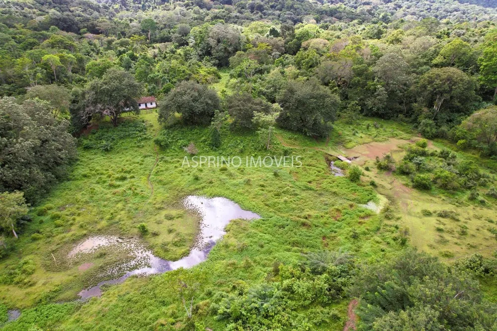 Fazenda, 227 hectares - Foto 11