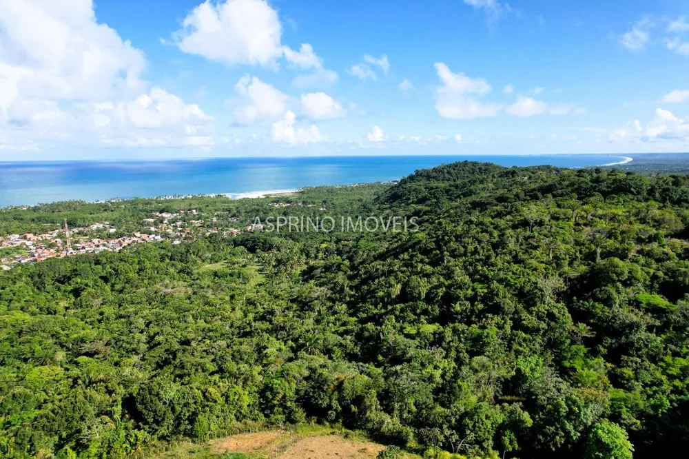 Terreno, 11 hectares - Foto 10